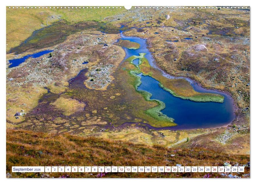 InsideView 13