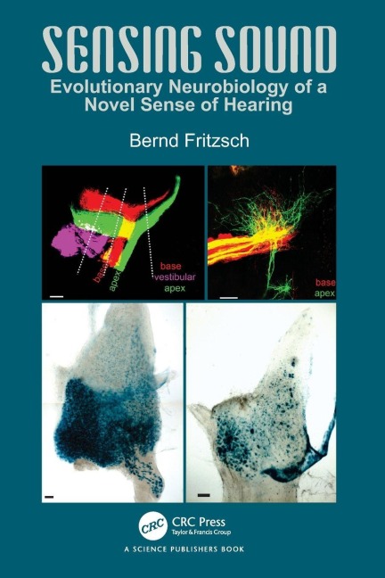 Sensing Sound - Bernd Fritzsch