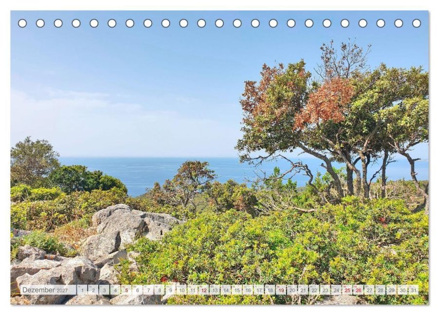 InsideView 4