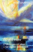 Cover-Bild zum Titel 'Es gibt mehr' von 'Peter Schulthess'