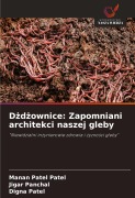 Cover-Bild zum Titel 'D¿d¿ownice: Zapomniani architekci naszej gleby' von 'Manan Patel Patel, Jigar Panchal, Digna Patel'