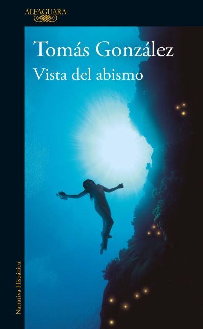 Vista del Abismo / A View of the Abyss - Tomás González