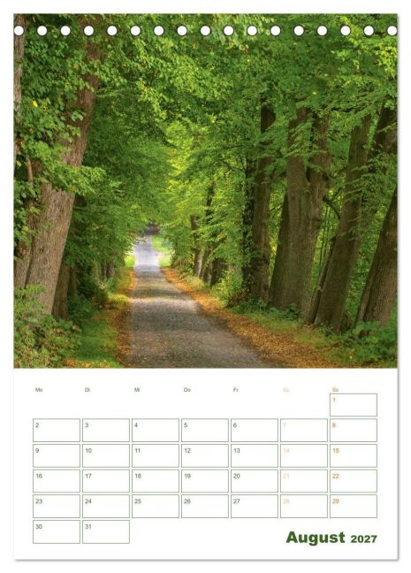 InsideView 13