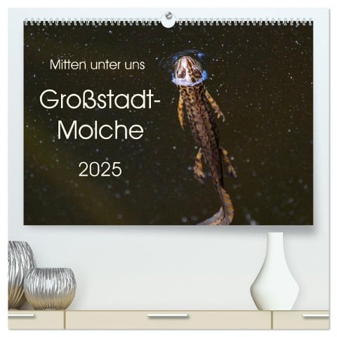 Mitten unter uns - Großstadt-Molche (hochwertiger Premium Wandkalender 2025 DIN A2 quer), Kunstdruck in Hochglanz - Anne Wibke Hildebrandt