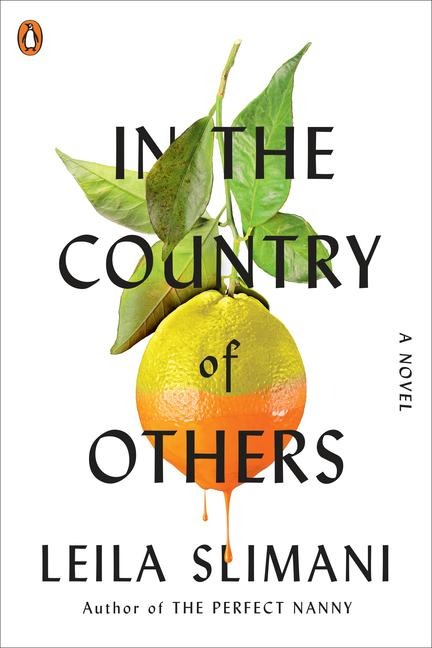In the Country of Others - Leila Slimani