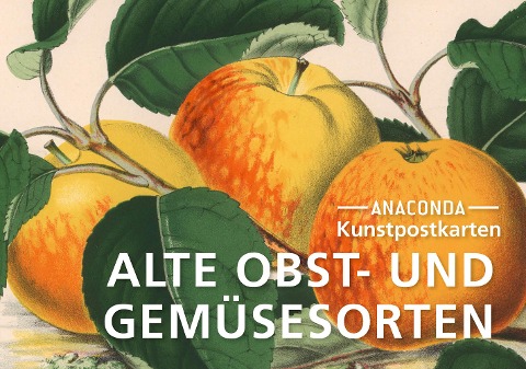 Postkarten-Set Alte Obst- und Gemüsesorten - 