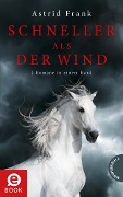 Cover-Bild zum Titel 'Schneller als der Wind' von 'Astrid Frank'