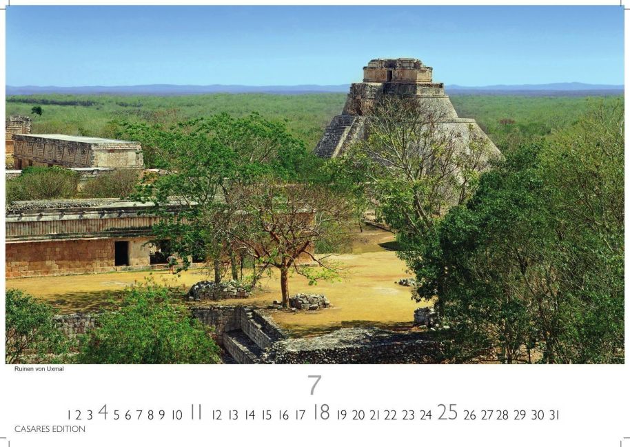 InsideView 7