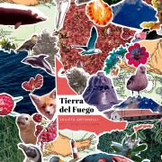 Cover-Bild zum Titel 'Tierra del Fuego' von 'Julieta Antonelli'