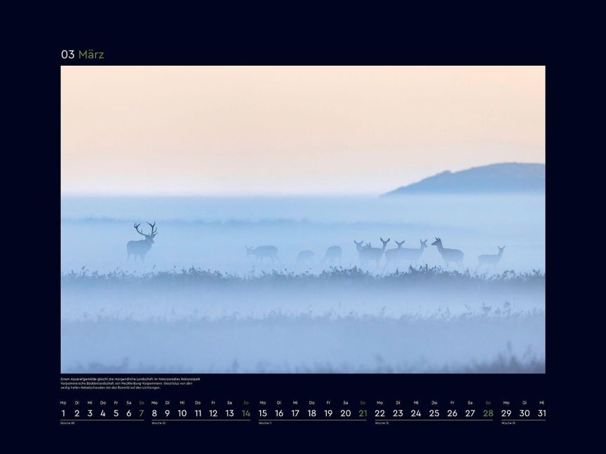 InsideView 8