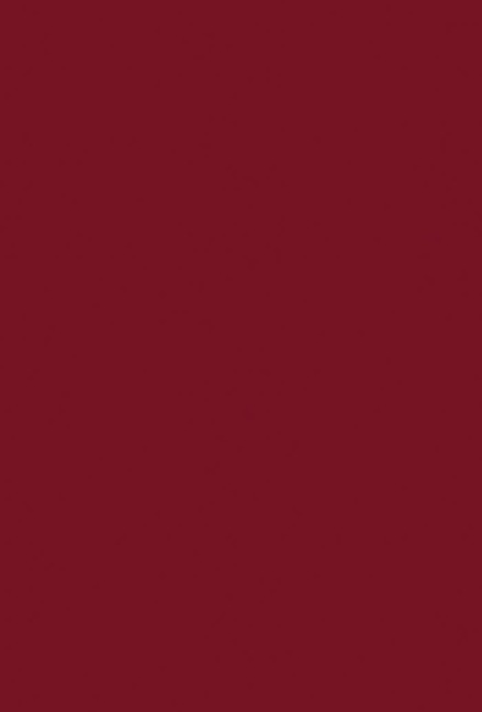 Government in the Federal Republic of Germany - Nevil Johnson