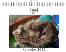 Igel - Lucy Koch