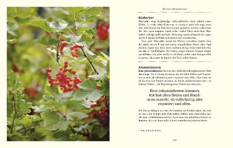 InsideView 7