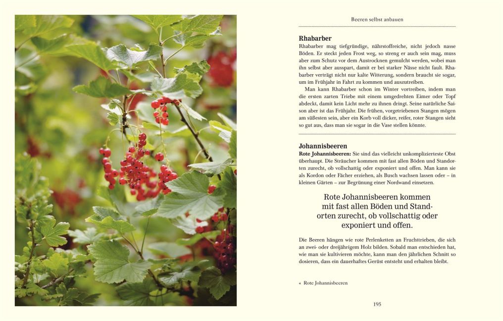 InsideView 7