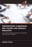 Cover-Bild zum Titel 'Valutazione e gestione del rischio nel settore bancario' von 'Abdalla Chebo'