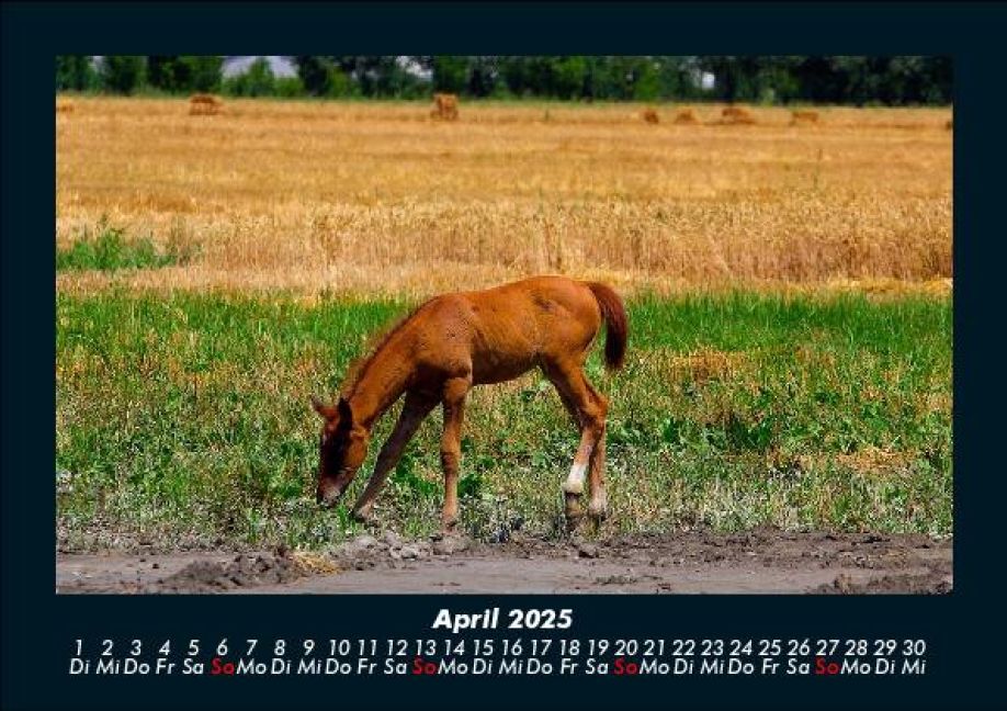 InsideView 8