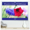 Wunderschöne Wildblumen (hochwertiger Premium Wandkalender 2025 DIN A2 quer), Kunstdruck in Hochglanz - Gisela Kruse