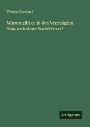 Cover-Bild zum Titel 'Warum gibt es in den Vereinigten Staaten keinen Sozialismus?' von 'Werner Sombart'