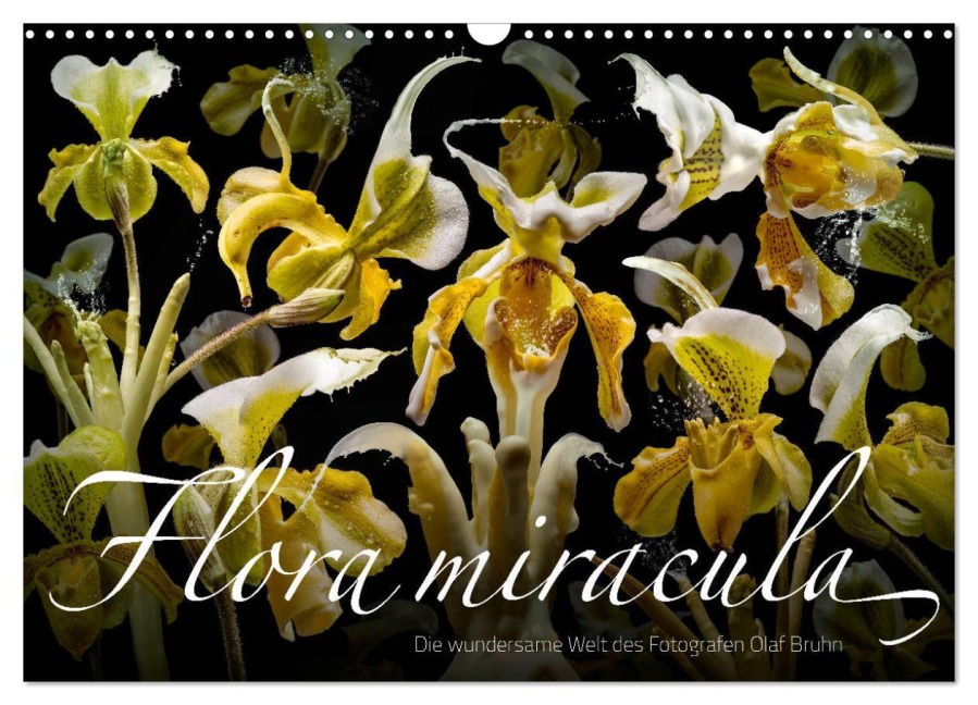 Flora miracula - Die wundersame Welt des Fotografen Olaf Bruhn (Wandkalender 2026 DIN A3 quer), CALVENDO Monatskalender - Olaf Bruhn