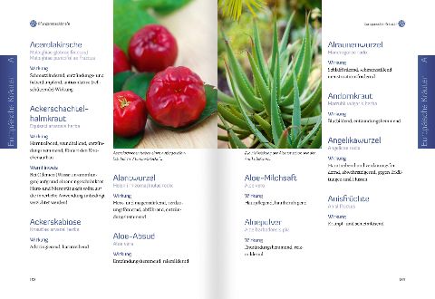 InsideView 5