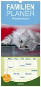 Cover-Bild zum Titel 'Familienplaner 2026 - Rassekatzen mit 5 Spalten (Wandkalender, 21 x 45 cm) CALVENDO' von 'Melanie Viola'