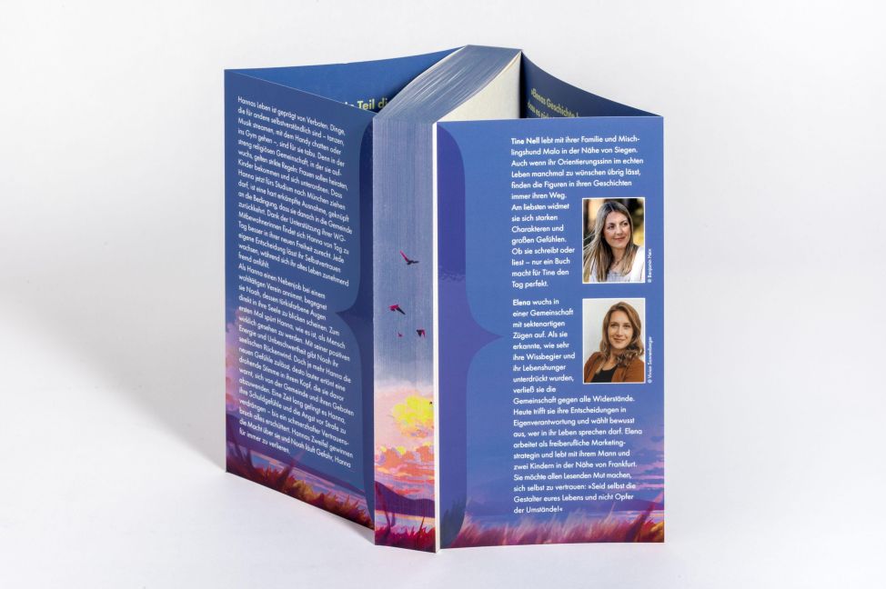 InsideView 3
