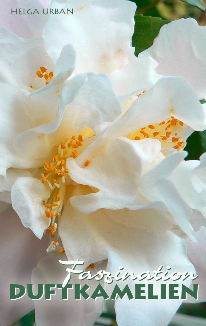 Faszination Duftkamelien - Helga Urban