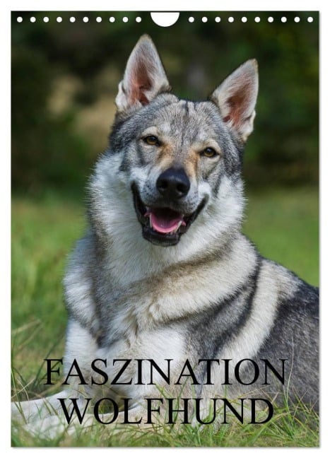 Faszination Wolfhund (Wandkalender 2026 DIN A4 hoch), CALVENDO Monatskalender - Sigrid Starick