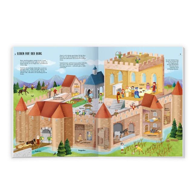 InsideView 1