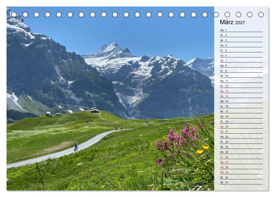 InsideView 8
