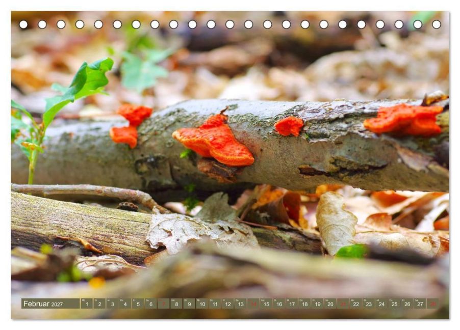 InsideView 7
