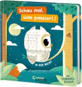 Schau mal, was passiert! In der Nacht - 
