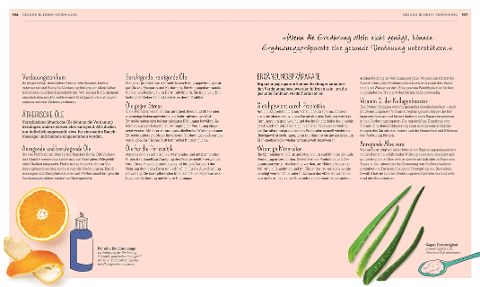 InsideView 6