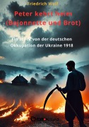 Cover-Bild zum Titel 'Peter kehrt heim (Bajonette und Brot)' von 'Friedrich Wolf'