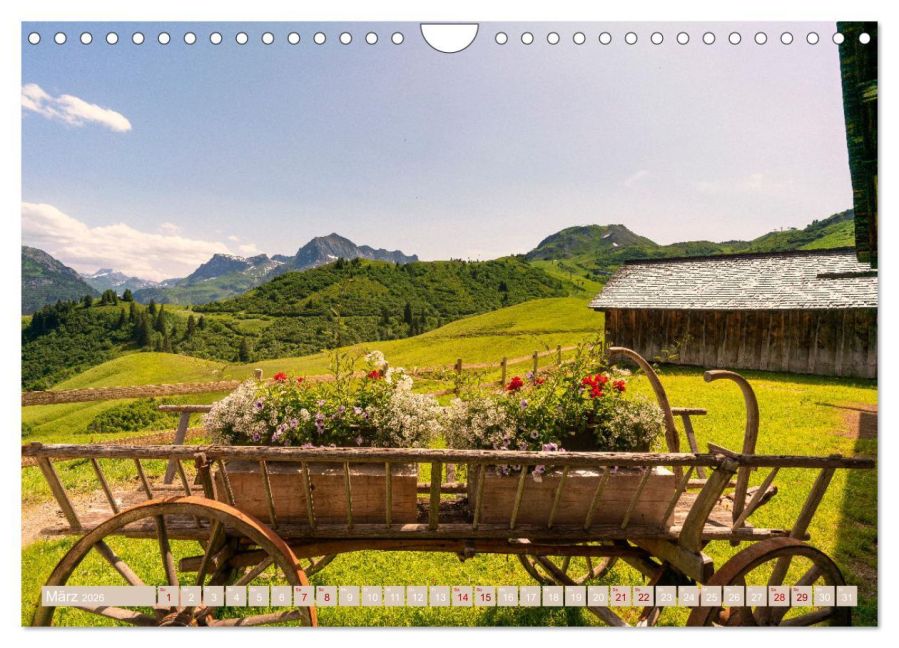 InsideView 8