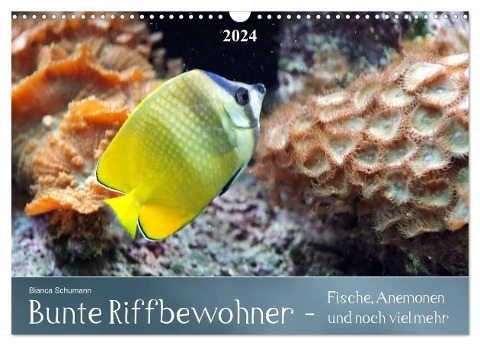 Bunte Riffbewohner - Fische, Anemonen und noch viel mehr (Wandkalender 2024 DIN A3 quer), CALVENDO Monatskalender - Bianca Schumann