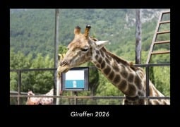 Cover-Bild zum Titel 'Giraffen 2026 Fotokalender DIN A3' von 'Tobias Becker'