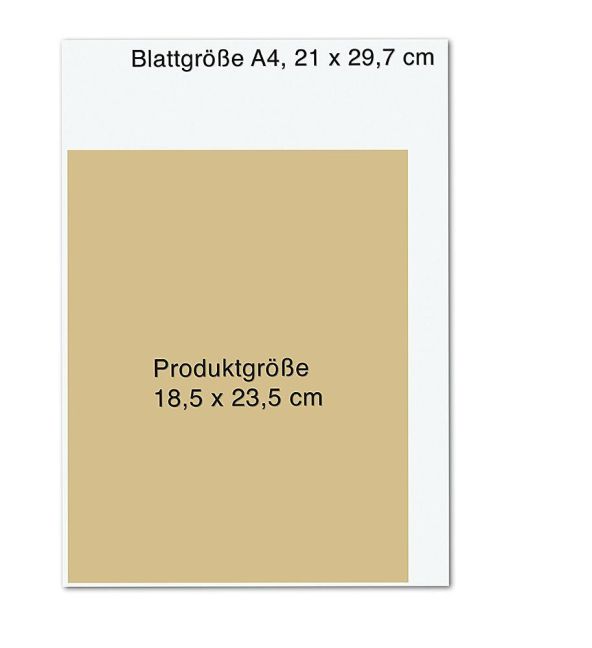 InsideView 8