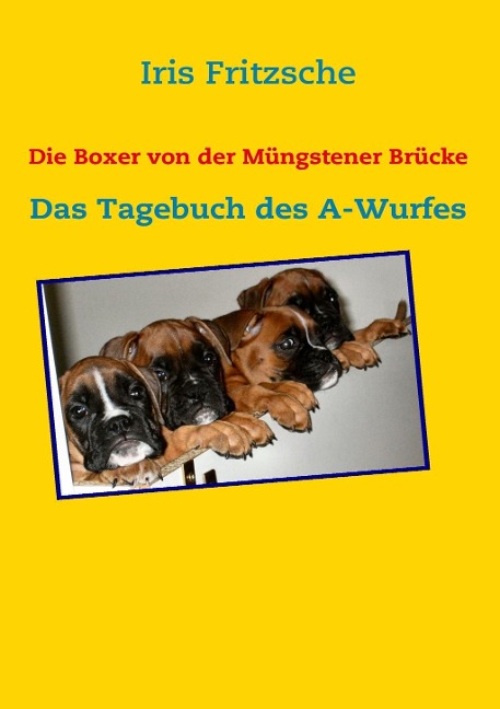 Die Boxer von der Müngstener Brücke - Iris Fritzsche