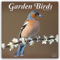 Garden Birds - Gartenvögel 2025 - 16-Monatskalender - Avonside Publishing Ltd