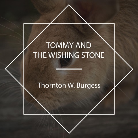 Tommy and the Wishing Stone - Thornton W. Burgess