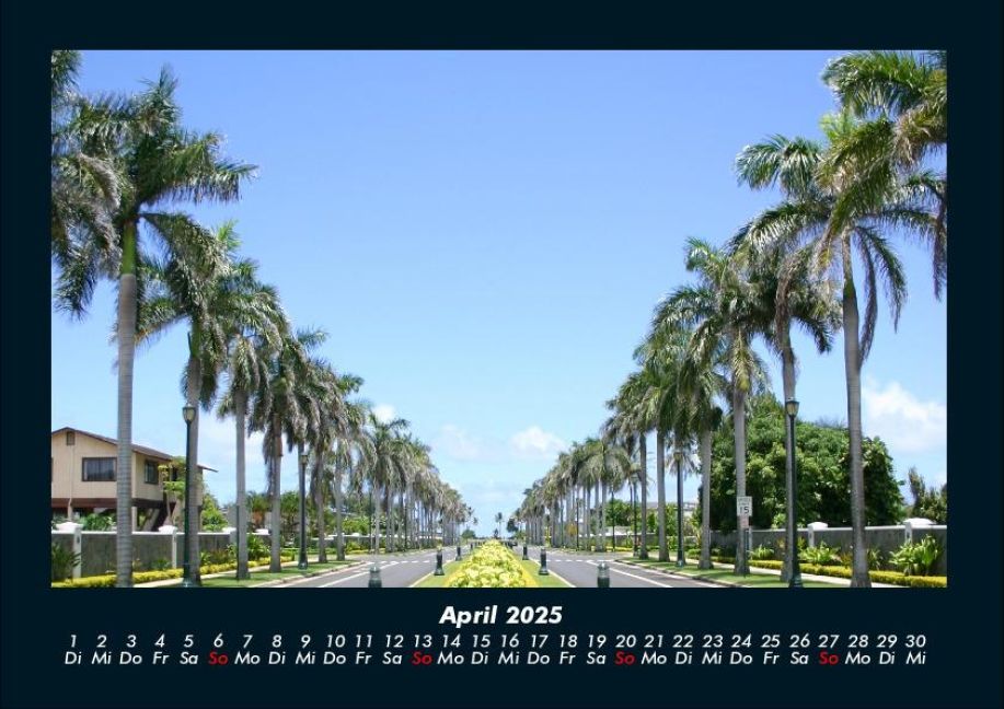 InsideView 8