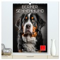 Berner Sennenhund - gutmütig und treu (hochwertiger Premium Wandkalender 2025 DIN A2 hoch), Kunstdruck in Hochglanz - Peter Roder