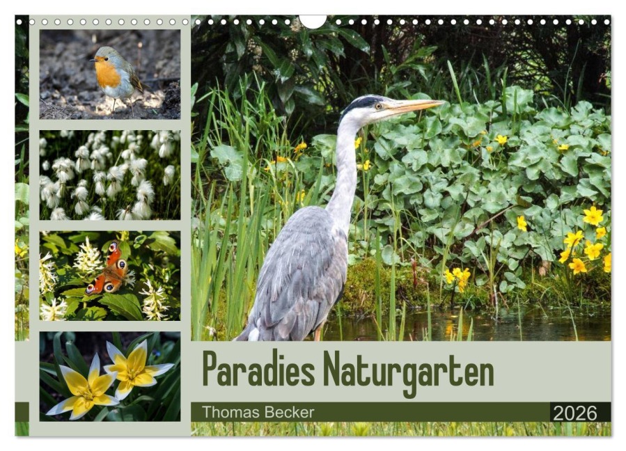 Paradies Naturgarten (Wandkalender 2026 DIN A3 quer), CALVENDO Monatskalender - Thomas Becker