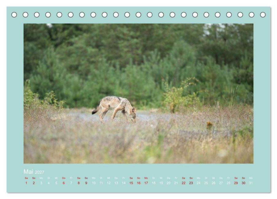 InsideView 10
