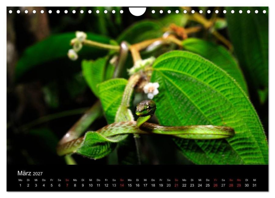 InsideView 5