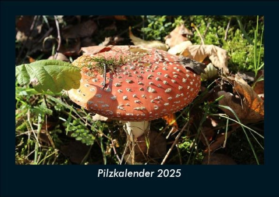 Pilzkalender 2025 Fotokalender DIN A5 - Tobias Becker