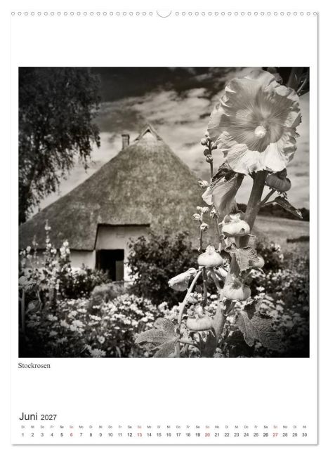 InsideView 11