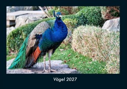 Cover-Bild zum Titel 'Vögel 2027 Fotokalender DIN A4' von 'Tobias Schmitt, Kevin Heber'