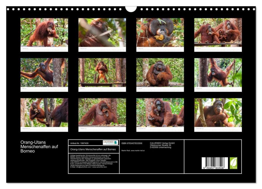 InsideView 5